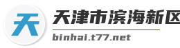 天津市滨海新区麦克技术